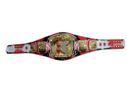 WWE CM Punk Spinner Championship Title Belt - WWF Belt
