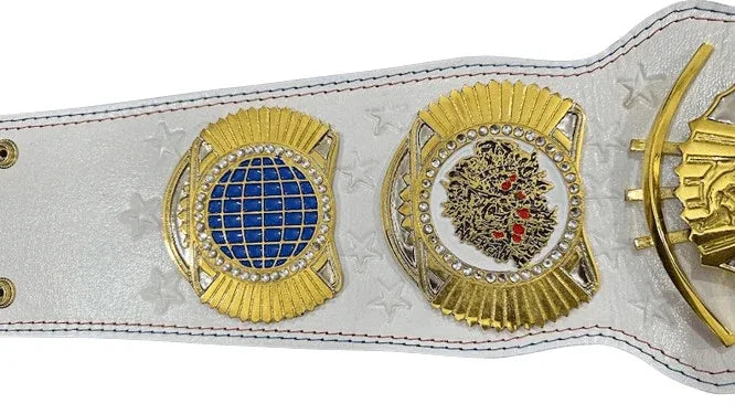 WWE Cody Rhodes American Nightmare Championship Title Belt - WWF Belt
