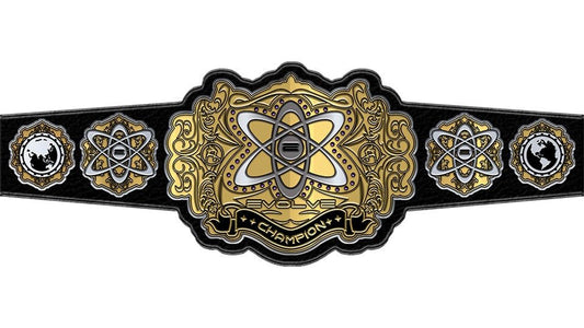 WWE Evolve Championship Title BeltChampionship BeltWWF Belt