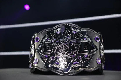 WWE Evolve Men's Championship Belt - WWF Belt