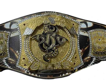 WWE NXT Randy Orton Spinner Championship Title Belt Replica