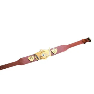 WWWF Nature Boy Buddy Rogers 1963 World Champion Belt - WWF Belt