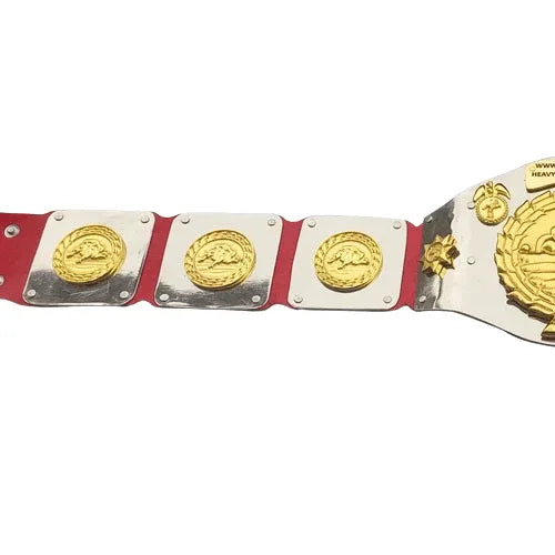 WWWF North American title Heavyweight Wrestling Champion Belt - WWF Belt