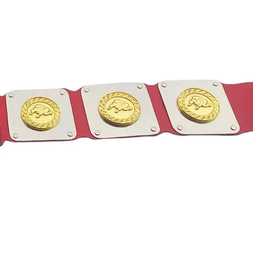 WWWF North American title Heavyweight Wrestling Champion Belt - WWF Belt