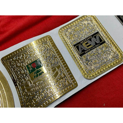 AEW TNT Championship Replica Title Belt - WWF Belt