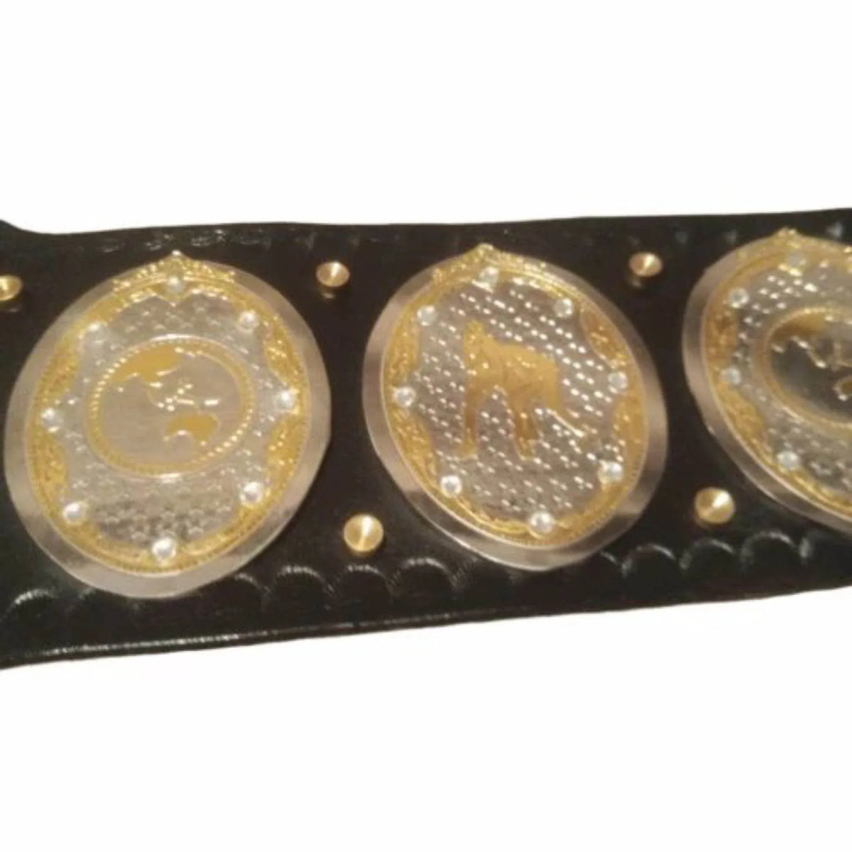 AEW Women's World Championship Replica Title Belt - WWF Belt
