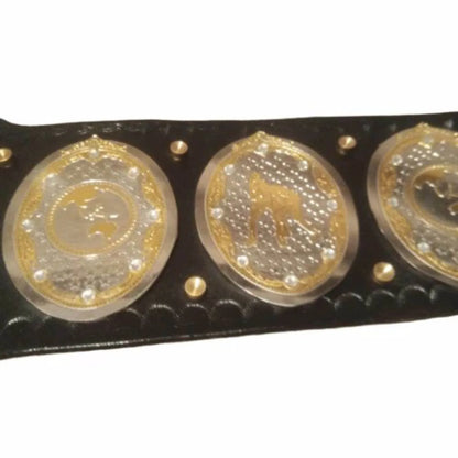 AEW Women's World Championship Replica Title Belt - WWF Belt