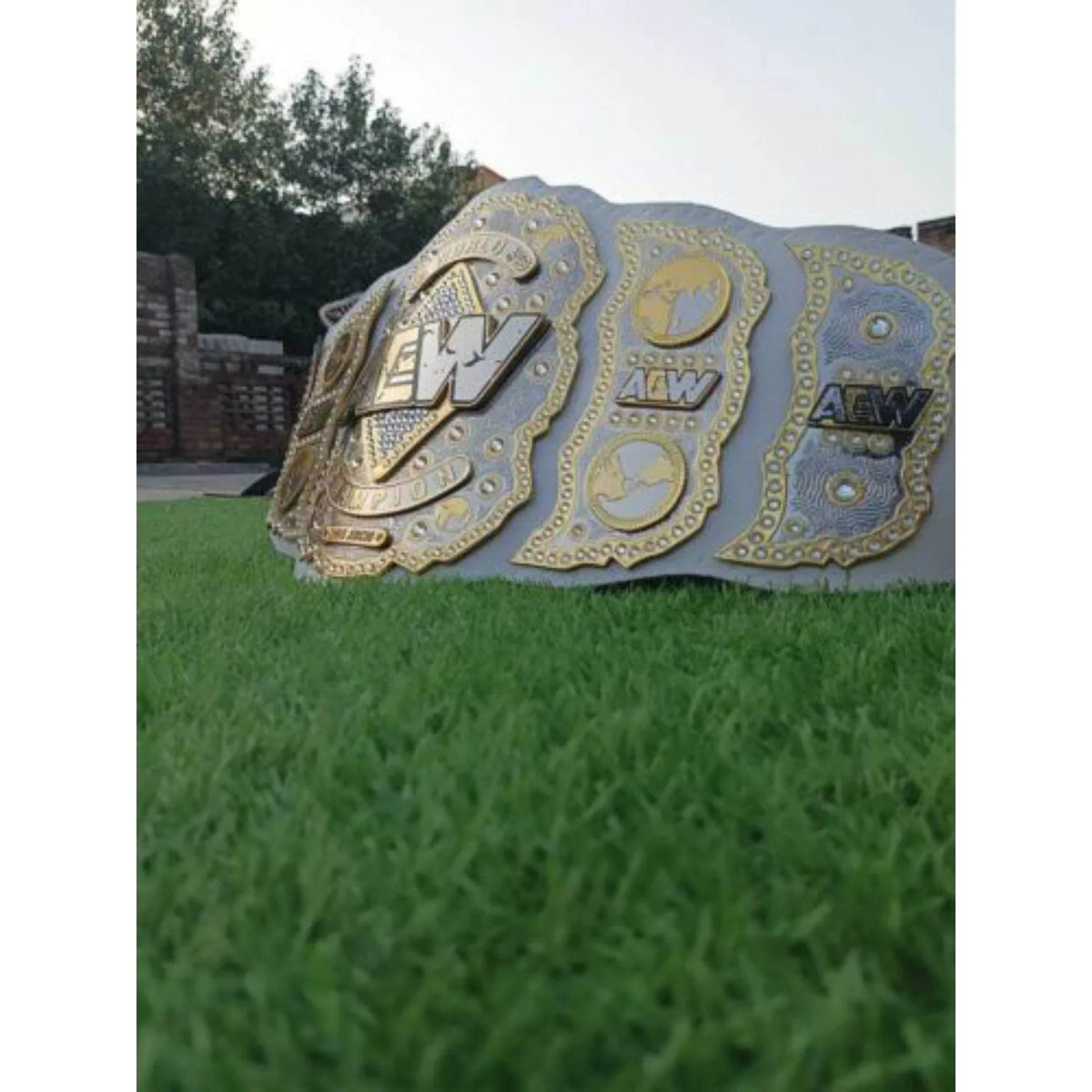 AEW World Wrestling Championship Replica Title Belt - WWF Belt
