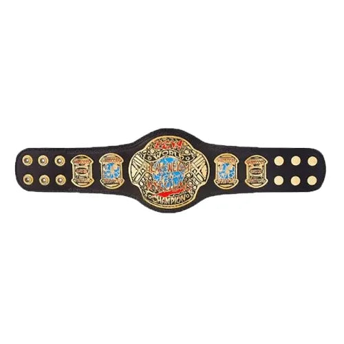 ECW world heavyweight championship belt kids replica - WWF Belt