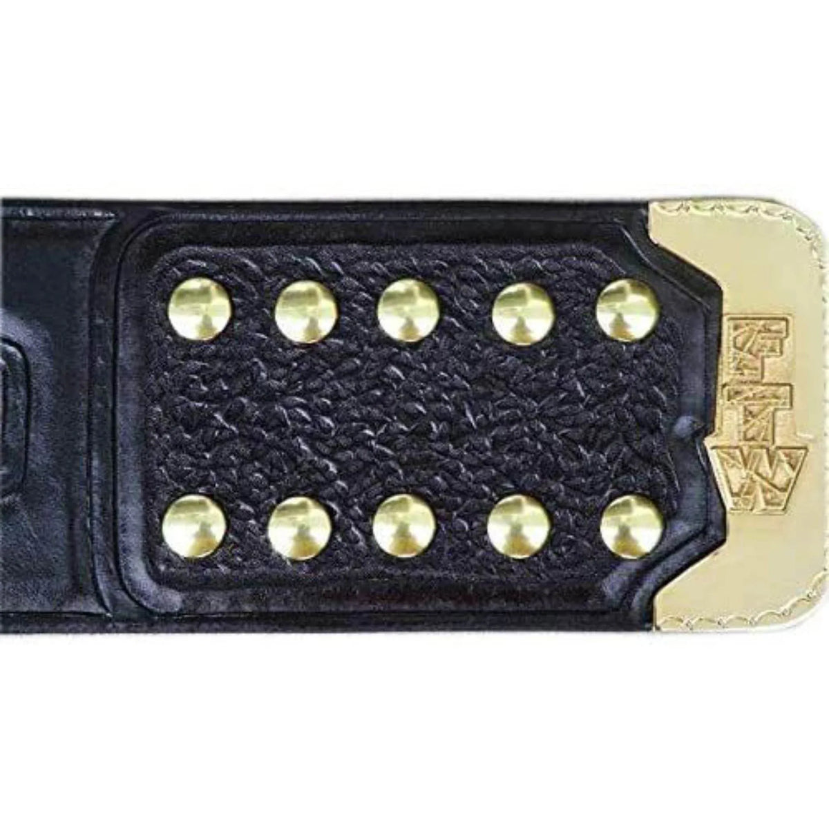 ECW World Heavyweight Championship Replica Title Belt - WWF Belt