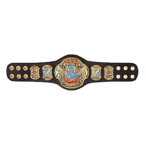 ECW world heavyweight championship belt kids replica