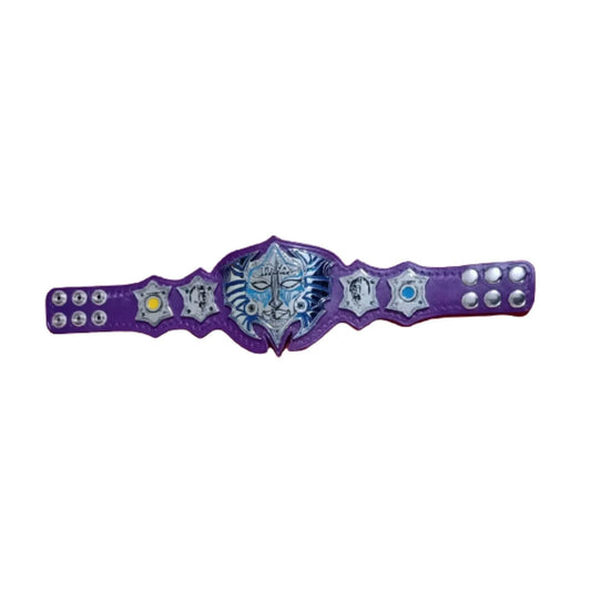 Jeff hardy mini championship replica belt - WWF Belt
