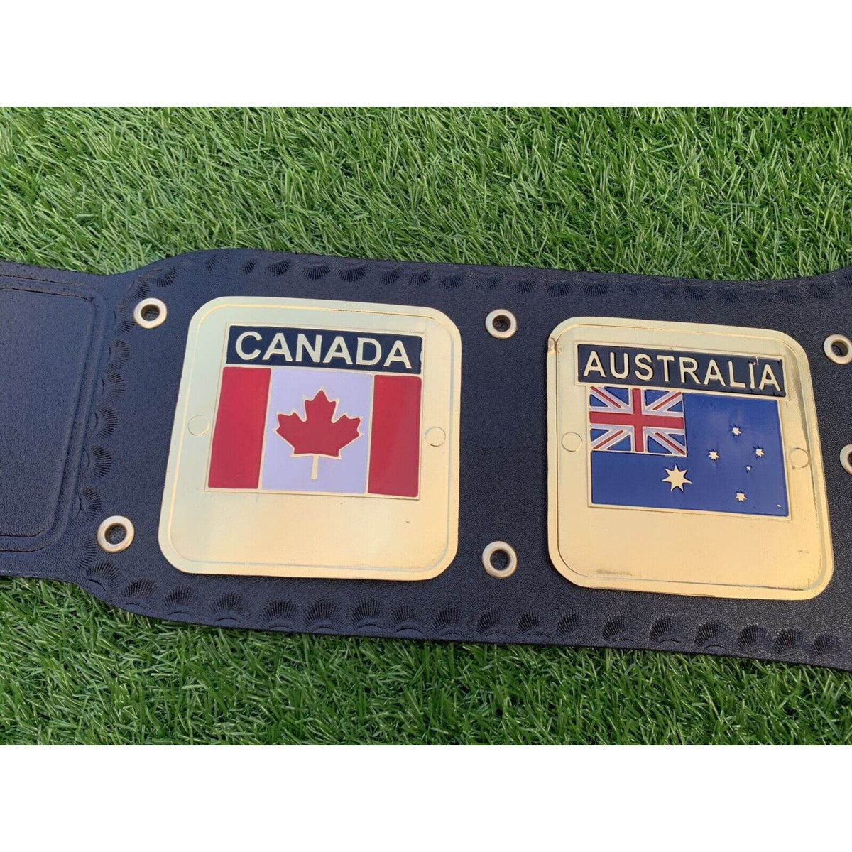 NWA World Heavyweight Championship Replica Title Belt - WWF Belt