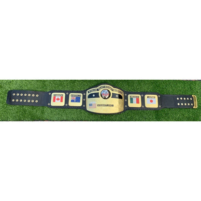 NWA World Heavyweight Championship Replica Title Belt - WWF Belt