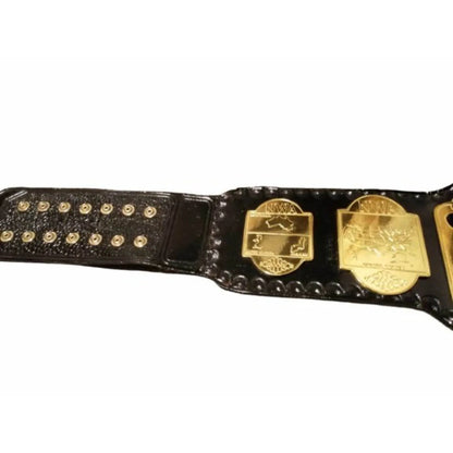 NWA world tag team championship belts Replica Title Belt - WWF Belt