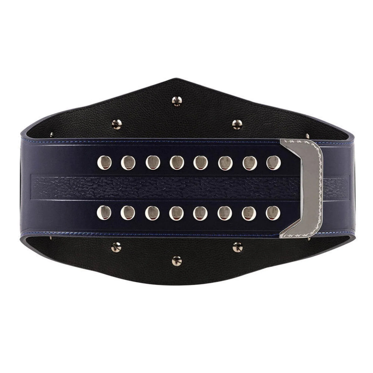 NXT Cruiserweight Championship Replica Title Belt - WWF Belt