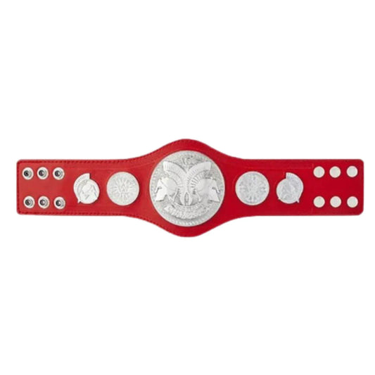 raw wwe tag team belts championship kids replica title - WWF Belt