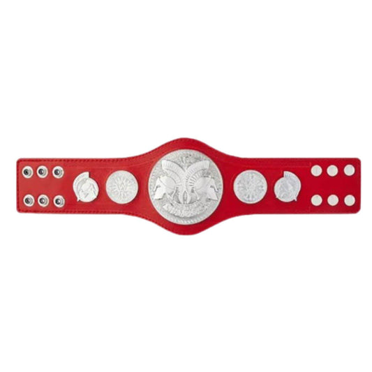 raw wwe tag team belts championship kids replica titleChampionship BeltWWF Belt