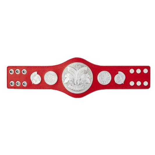 raw wwe tag team belts championship kids replica title