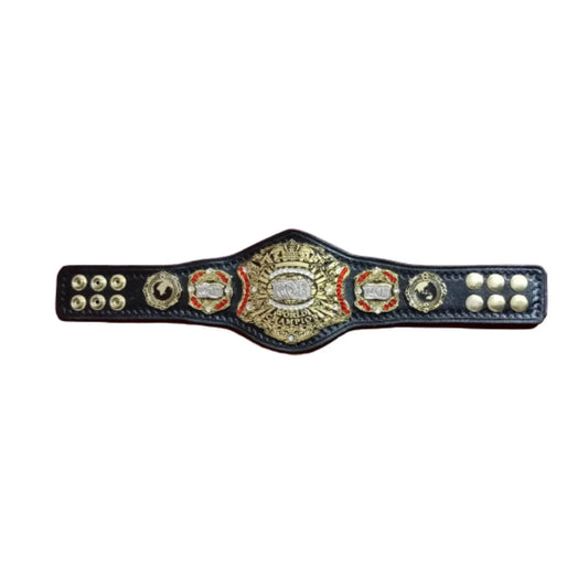 Ring Of Honor ROH Wrestling Championship Mini Replica Title Belt - WWF Belt