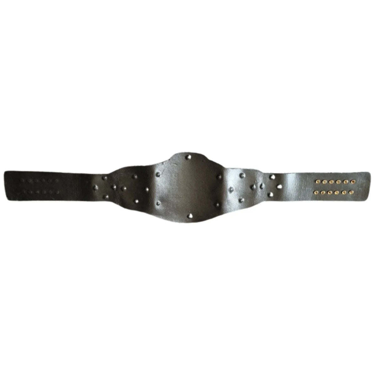 ROH World Tag Team Championship Replica Title Belt - WWF Belt