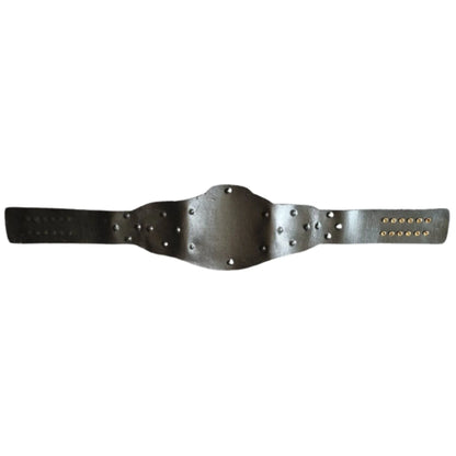 ROH World Tag Team Championship Replica Title Belt - WWF Belt